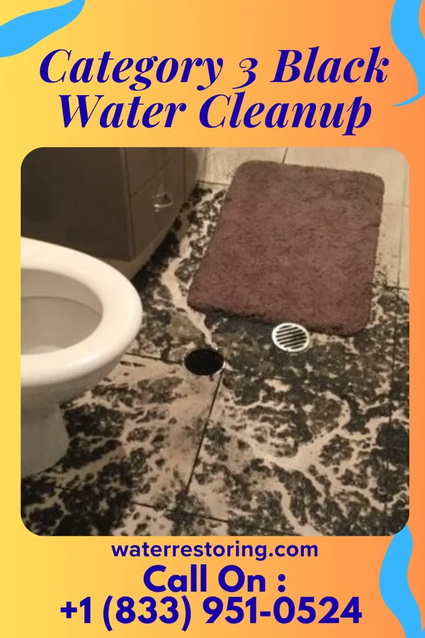 Category 3 Black Water Cleanup in Difficult Run, VA