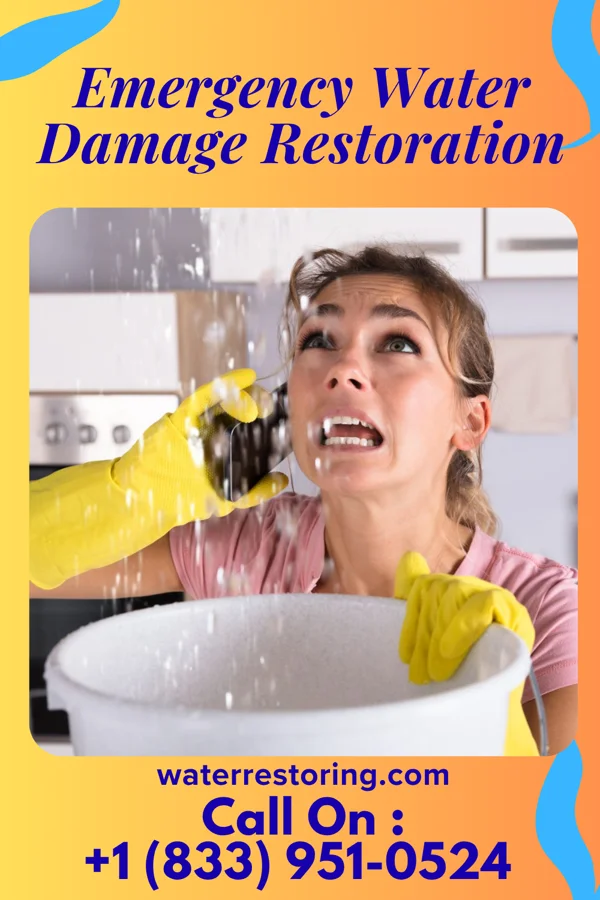 Emergency Water Damage Restoration in Difficult Run, VA