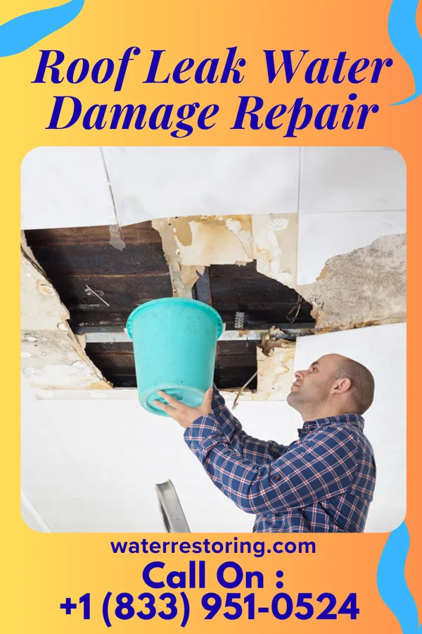 Roof Leak Water Damage Repair in Difficult Run, VA