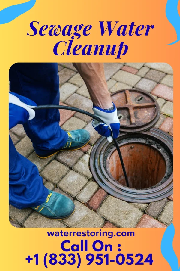 Sewage Water Cleanup in Difficult Run, VA