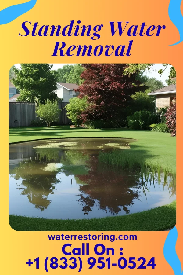 Standing Water Removal in Difficult Run, VA